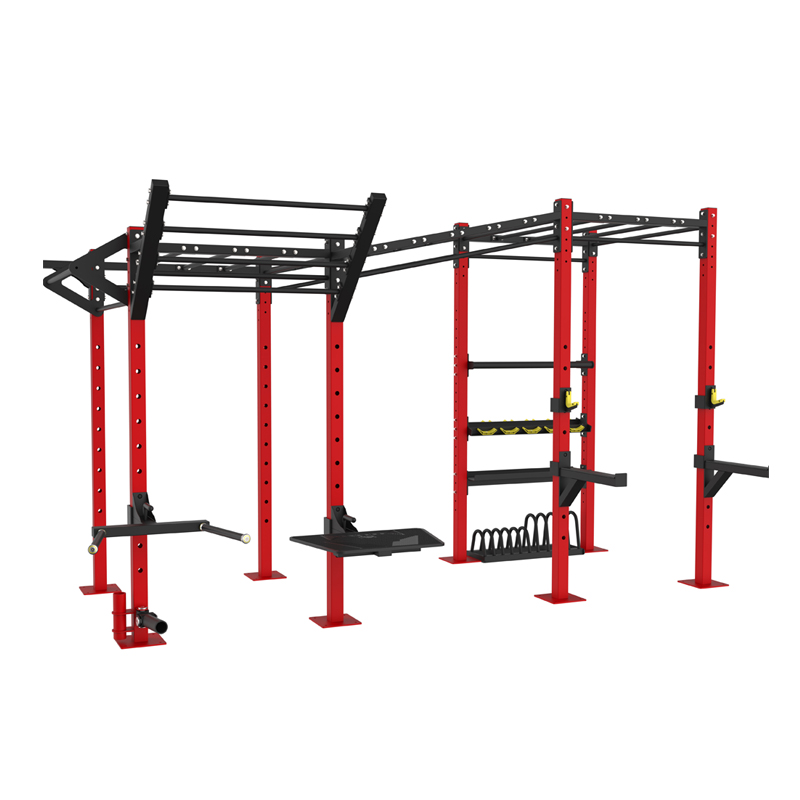 Multi-Function Removable Crossfit Rig